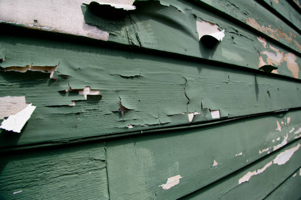 Best Residential Junk Removal  in North Wantagh, NY