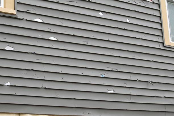 Shed Removal in North Wantagh, NY